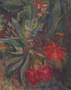 Cactus en fleurs - Friedrich Radler