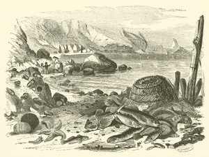 Pêche - Friedrich Specht