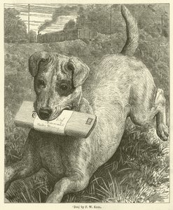 Chien