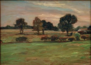 paysage marécageux - Fritz Mackensen