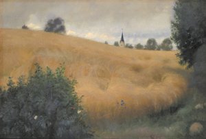 Champ de seigle près de Svanninge