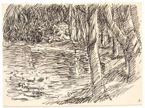 Un lac forestier