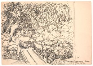 Je vais encore rester un peu ! dit le Canard... - Fritz Syberg