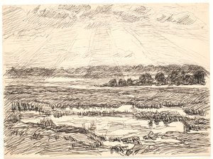 Paysage de la Moselle avec soleil bas