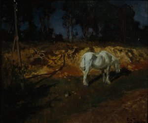 Le cheval du docteur