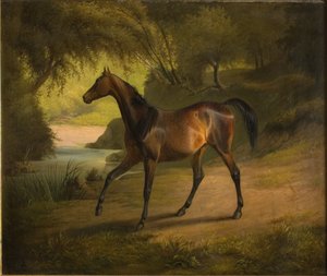 Antonia - Fritz Thomsen