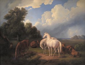 Lucia, Whimsey, Bellona, Hertha, Olga - Fritz Thomsen