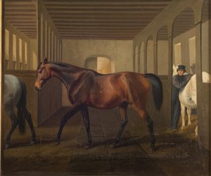 Rosetta - Fritz Thomsen