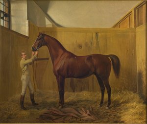 Rubini - Fritz Thomsen