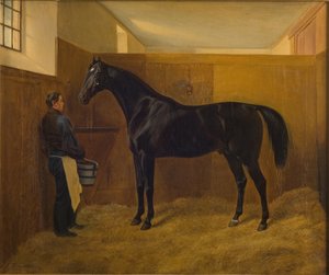 Zampa - Fritz Thomsen