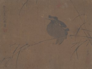 Mainate sur un roseau - Fulan Taorên.