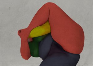  - Fuyuki Hattori