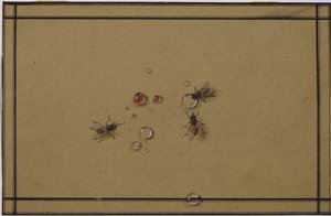 Les mouches aux gouttes d