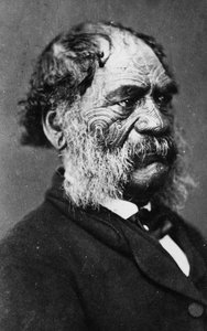 Hori Kingi Te Anaua, chef de la tribu Ngati Ruaka, c.1860 - G. W. Bishop