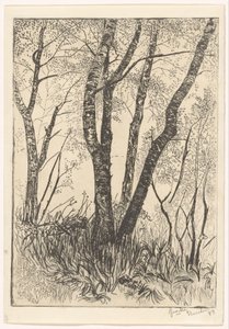 Arbres dans les hautes herbes - G. van der Mey (signed by artist)