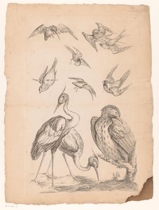 Dix oiseaux chinois, dont deux hérons et un martin-pêcheur