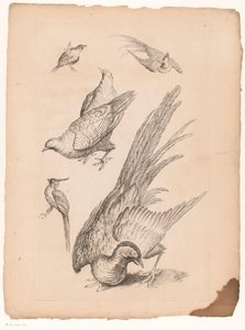 Six oiseaux chinois