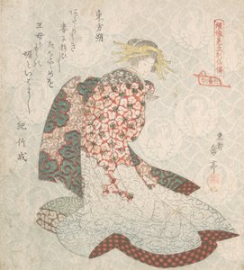 Courtisane, 19ème siècle