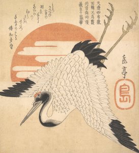 Grue blanche volant à travers le disque solaire, 1835