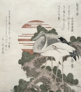 Grue (Tsuru) de la série 2 dessins de grues et tortues, 1818-30 - Gakutei Harunobu