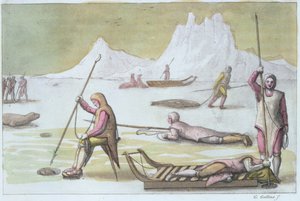 En attente sur la glace (détail) - Gallo Gallina