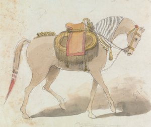 Cheval richement sellé