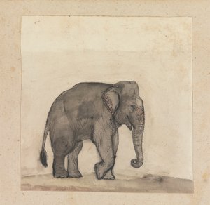 Éléphant