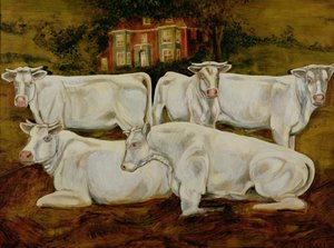 Taureaux Charolais, Dippenhall, Farnham