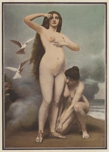 Vénus