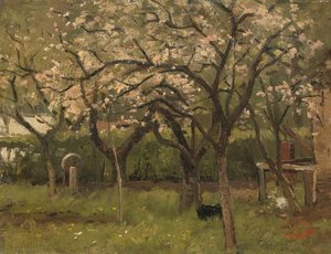 Arbre en fleurs dans un verger