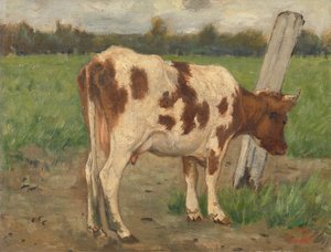 Vache - Geo Poggenbeek