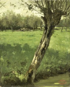 Le Saule