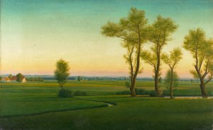 Paysage de lande