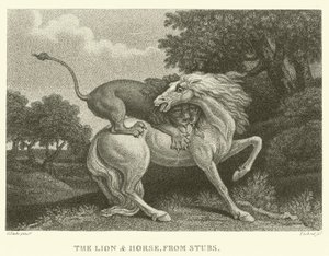 Le Lion et le Cheval, de Stubs - George (after) Stubbs