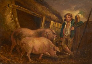 Soins aux cochons primés