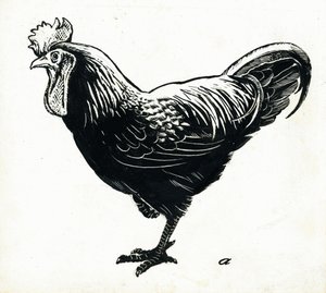 La poule