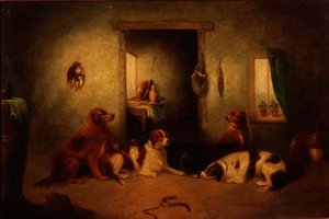 Les chiens de la cuisine - George Armfield