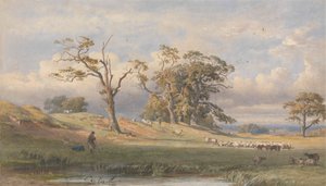 Ancien camp britannique dans le parc de Bulstrode - George Arthur Fripp