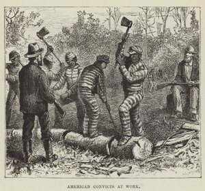 Condamnés américains au travail