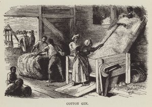 Égreneuse de coton