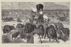 Chasse aux buffles sur le chemin de fer Kansas-Pacific - George Augustus Sala