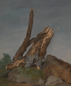 Étude de rochers et de branches - George Augustus Wallis