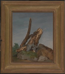 Étude des roches et des branches