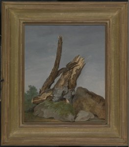 Étude de rochers et de branches, vers 1795 - George Augustus Wallis
