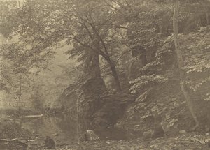 Piscine de brochet, années 1880, imprimé en 1888