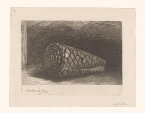 La coquille - George Bickham (II)