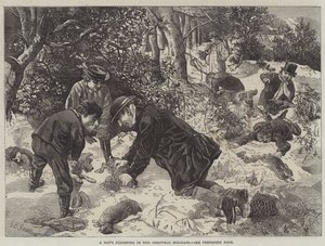 Une journée de furetage pendant les vacances de Noël - George Bouverie Goddard