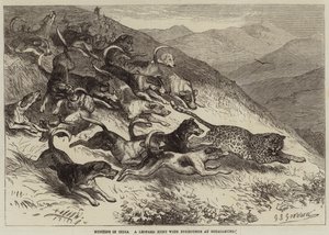 Chasse en Inde, une chasse au léopard avec des foxhounds à Ootacamund - George Bouverie Goddard