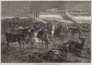 Chevaux sans cavalier répondant à l