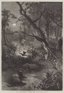 Le repaire du blaireau, une nuit d